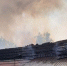 Fire - TVR24.TV
