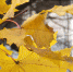 206326b6 59ce 4fe0 a40d 748eaa29b319 - TVR24.TV