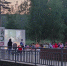 В Сергиево-Посадском городском округе, в парке «Покровский» пройдет фестиваль уличного кино. - Администрация Сергиево-Посадского района
