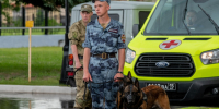 В Сергиевом Посаде ищут героя, кто справится с преступниками за пару минут - Regions.Ru