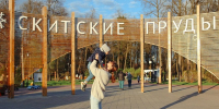 В парке «Скитские пруды» Сергиево-Посадского округа для жителей подготовили насыщенную программу - Regions.Ru