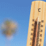Жара выше +31°C надвигается на Подмосковье: новый прогноз Гидрометцентра на 7–13 июля - Regions.Ru
