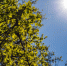 Солнечно и жара до +27°C ожидаются в Подмосковье в ближайшие дни - Regions.Ru