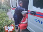 Спасатели разыскали пенсионерку, упавшую в овраг в лесу в Сергиево-Посадском округе