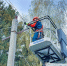 В Сергиевом Посаде энергетики проведут плановые работы на сетях 19 августа - Regions.Ru