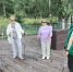 Жителей округа приглашают в парки на петанг, зумбу и фитнес - Regions.Ru