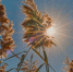 Днем под +25°C, ночью ниже +8°C: чем опасна первая неделя сентября в Подмосковье - Regions.Ru