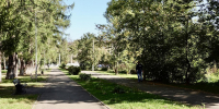Новую детскую площадку установят возле пешеходной аллеи в Рабочем поселке в октябре - Regions.Ru