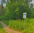 Сергиево-Посадский округ принимает участие в ежегодной Всероссийской акции «Сохраним лес» - Администрация Сергиево-Посадского района