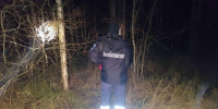 Спасатели вывели из леса Сергиево-Посадского округа заблудившуюся пенсионерку - Regions.Ru