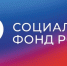 День слепых: Отделение СФР по Москве и Московской области предоставило собак-проводников с комплектом снаряжения 7 гражданам с инвалидностью - Администрация Сергиево-Посадского района