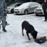 В УМВД России по Сергиево-Посадскому г.о. прошёл День открытых дверей - Администрация Сергиево-Посадского района