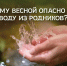 Родники — это природные источники, где подземная вода выходит на поверхность. Качество воды в них зависит от времени года, погоды и состояния территории вокруг - Администрация Сергиево-Посадского района