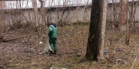 Благоустройство в Сергиево-Посадском округе - Администрация Сергиево-Посадского района
