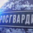 Информация о транспортировании оружия и (или) патронов к нему различными видами транспорта - Администрация Сергиево-Посадского района